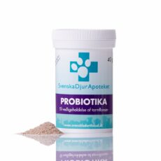Probiotika gavnlige mælkesyrebakterier HundeGodbid