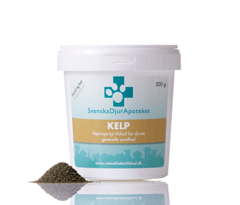 Kelp: naturligt tangpulver for en sund hud, pels og pigmentering